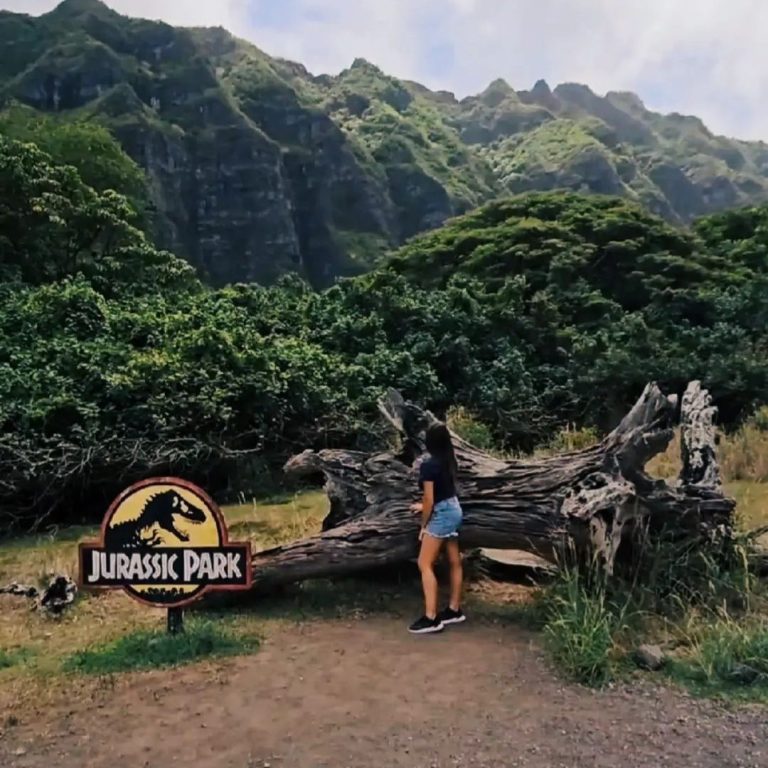 Bezoek de Jurassic Valley 